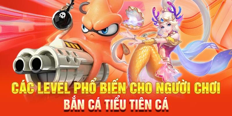 Bạn nên lựa chọn phòng có level phù hợp để săn được cá